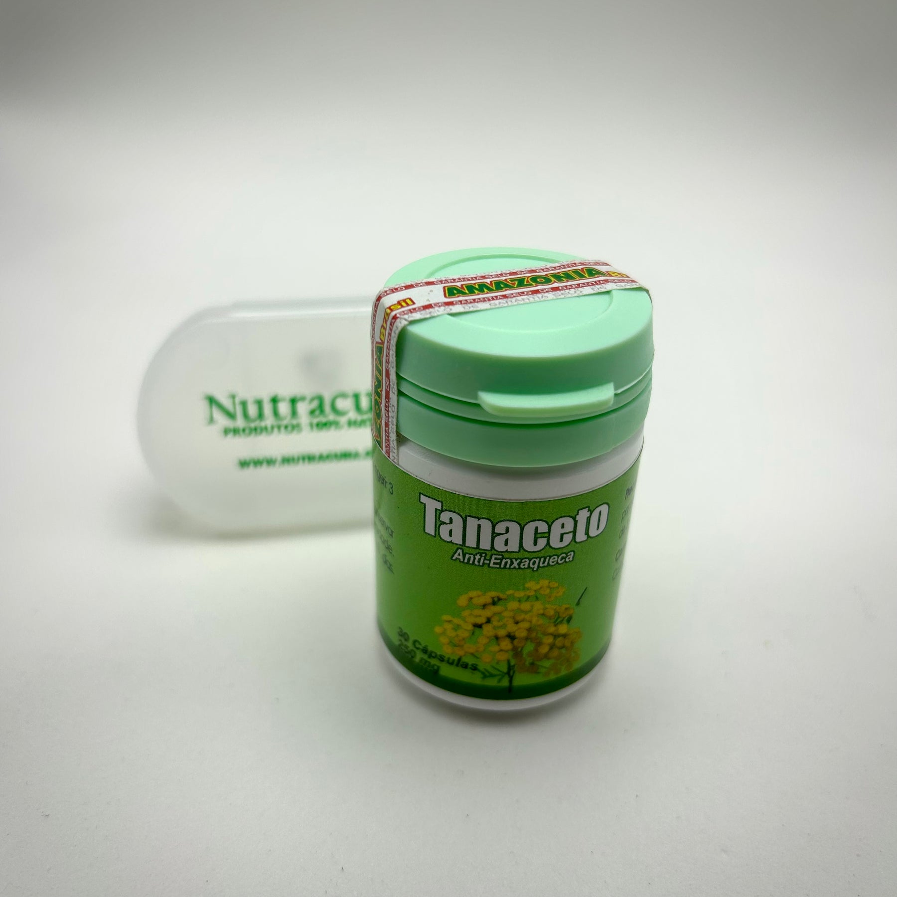 Tanaceto