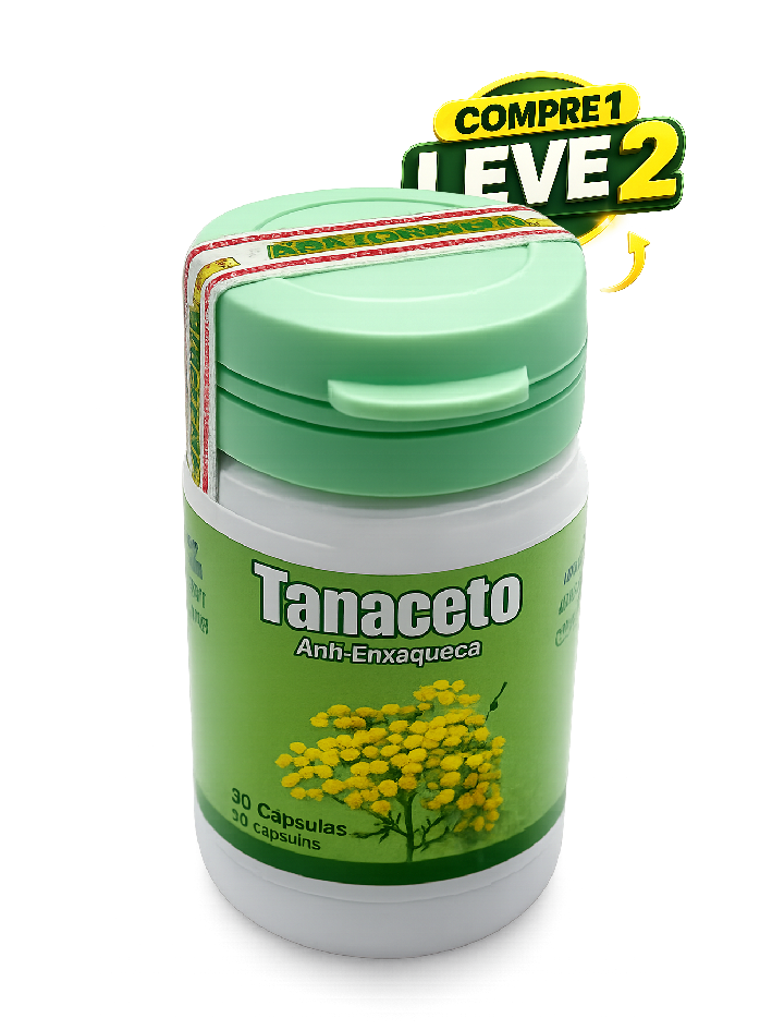 Tanaceto