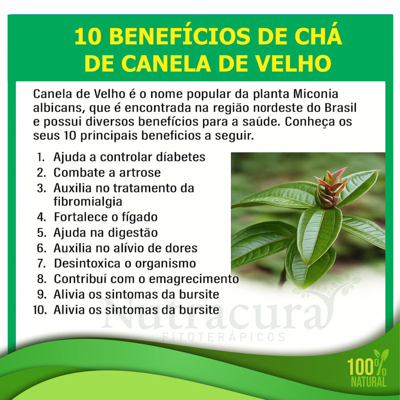 Canela de Velho com Sucupira.