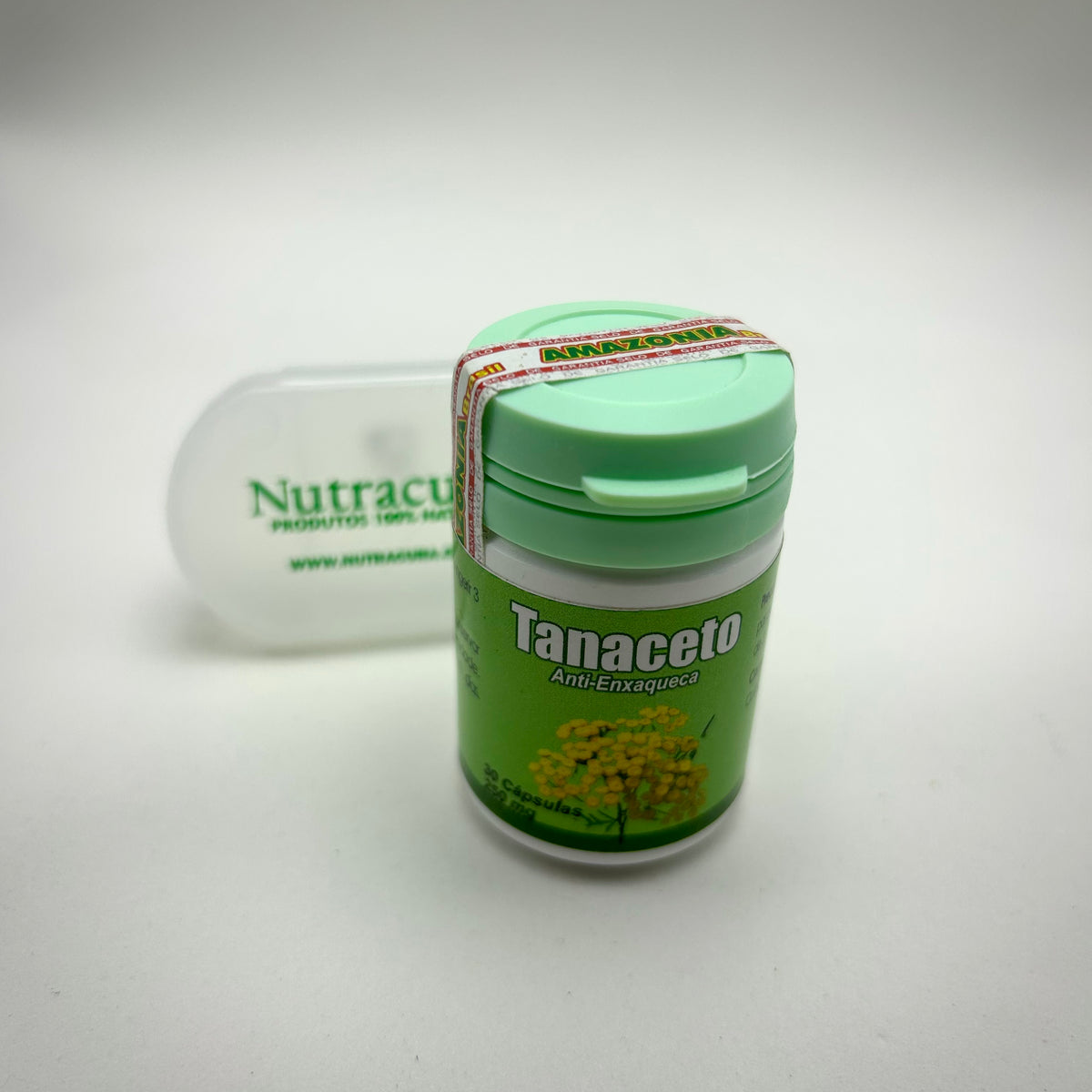 Tanaceto