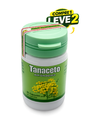 Tanaceto