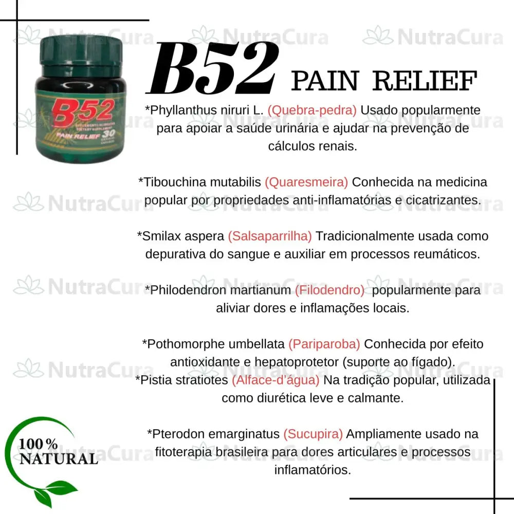 B52 Nova Fórmula - Compre 1 leve 2.