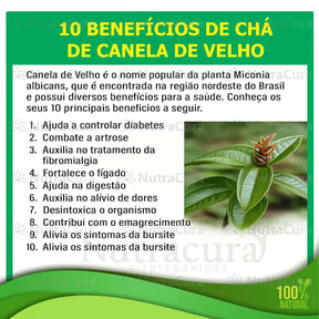 Canela de Velho com Sucupira - Compre 1 leve 2.