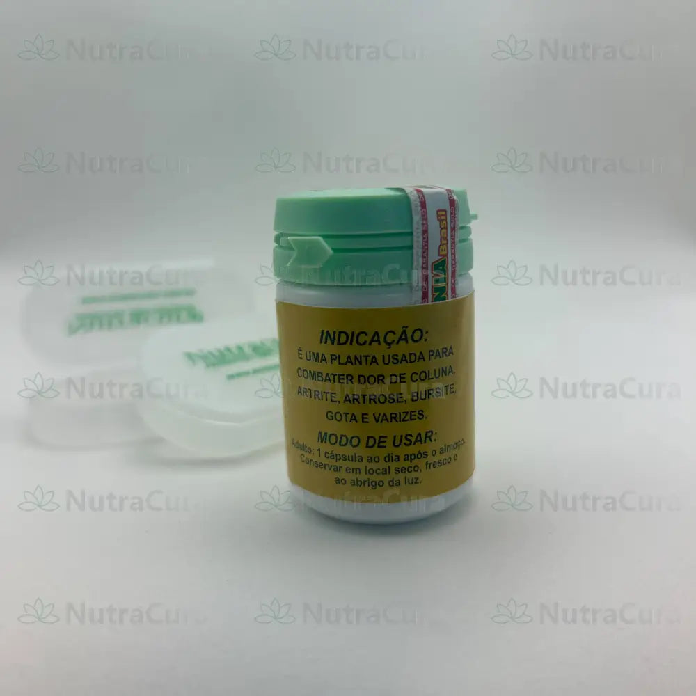 Castanha Indiana - Compre 3 leve 4.