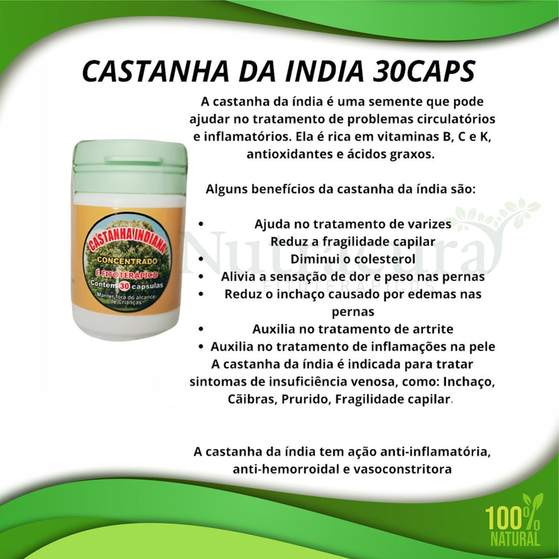 Castanha Indiana