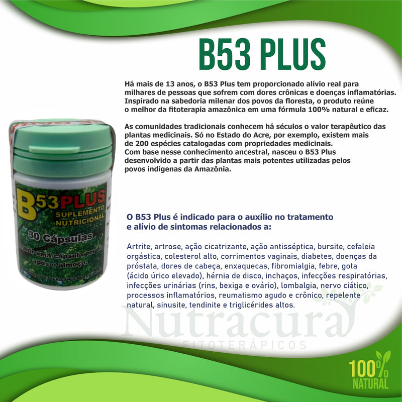 B53 Plus